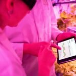 enhance your digital growth